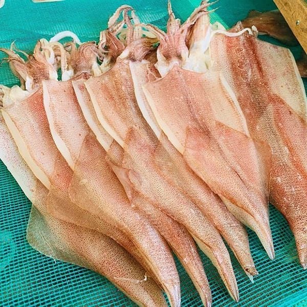 KHÔ MỰC MỘT NẮNG