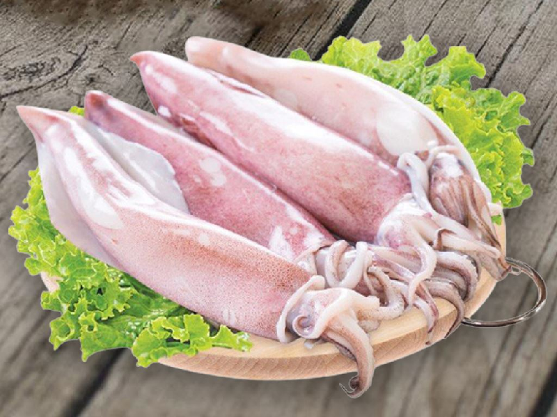 MỰC ỐNG CẤP ĐÔNG